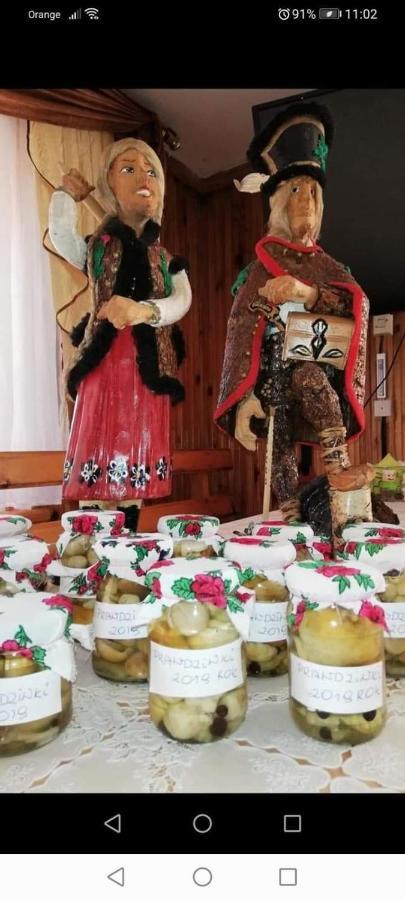 Agroturystyka Pod Lasem Poronin Extérieur photo