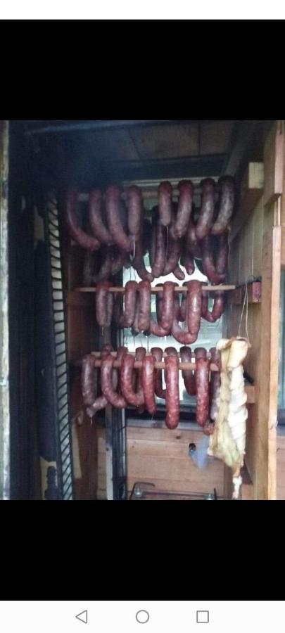 Agroturystyka Pod Lasem Poronin Extérieur photo